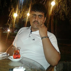 Safi Sylt