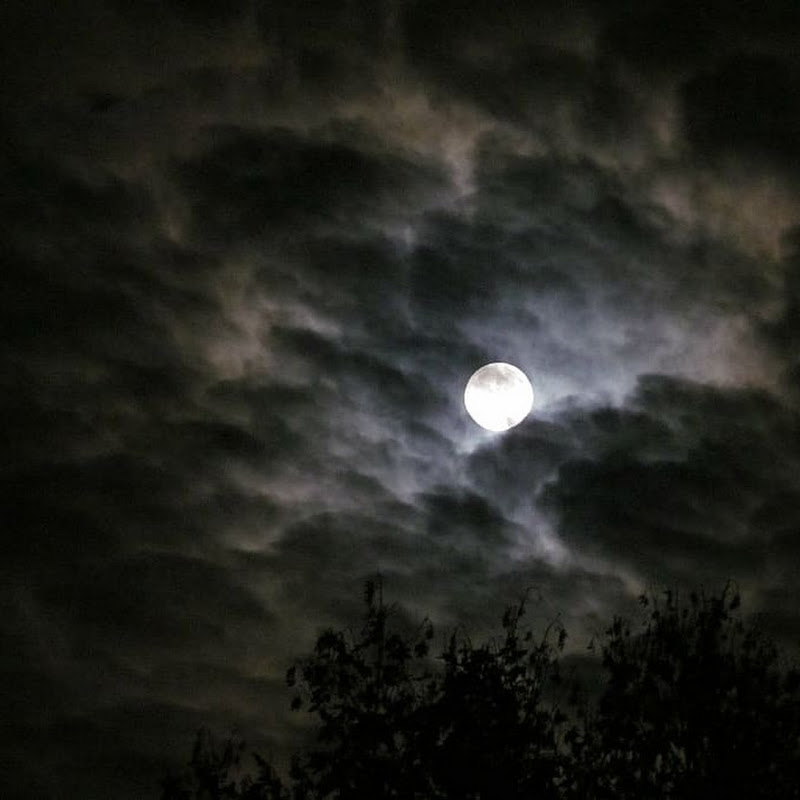 Twilight Mysteries 