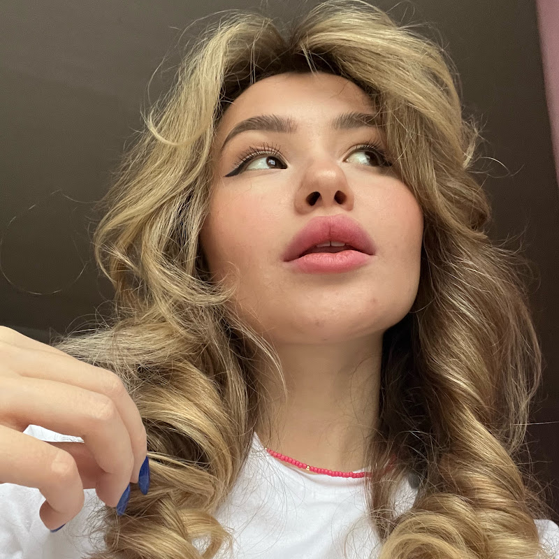 Ника про жизнь в США Logo