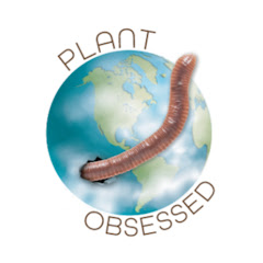 Plant Obsessed Avatar