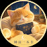 7kiT_CJZxck-channel-avatar-睡前一本书 · 小满的深夜书桌