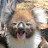 @AstroDingus Avatar