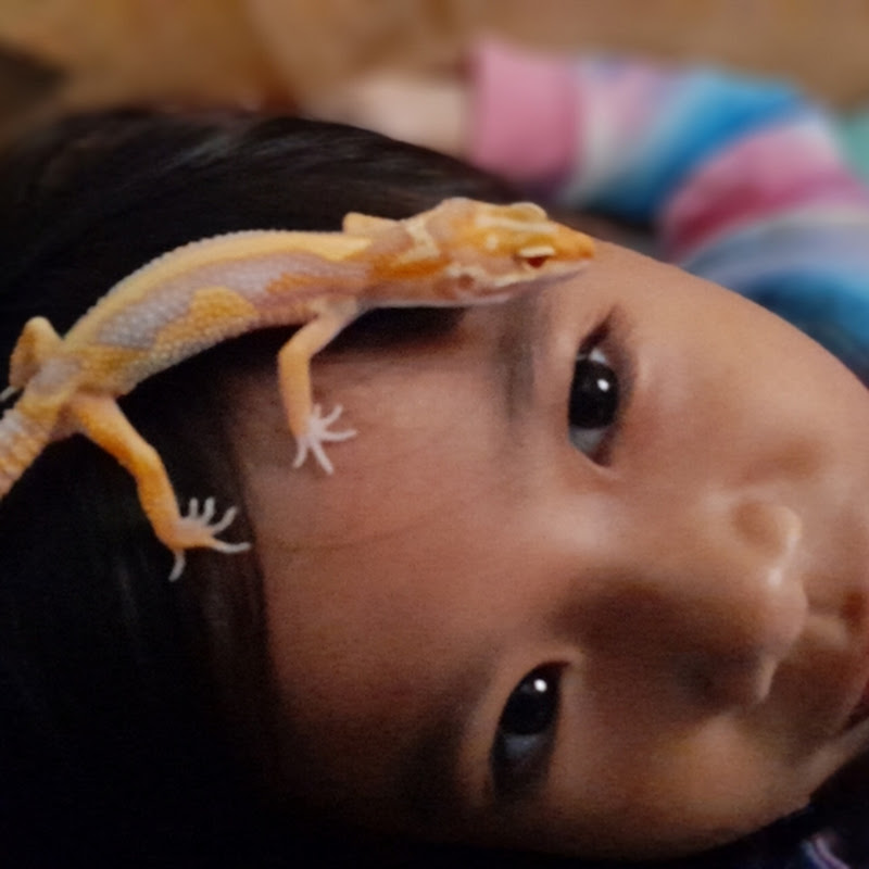 Shakila anak Indonesia