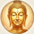 pqnKRObOh4g-channel-avatar-Sage's Network