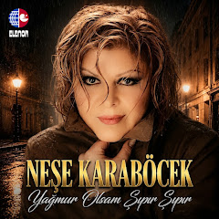 Neşe Karaböcek - Topic