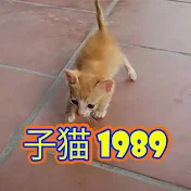 子猫 1989