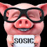 소식돼지TV  SOSIC