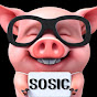 소식돼지TV  SOSIC