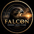 vivXaxKuNbE-channel-avatar-Falcon