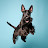 @scotty_dog_wuff's avatar