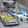 Автор
