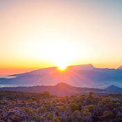Amazing Pictures 