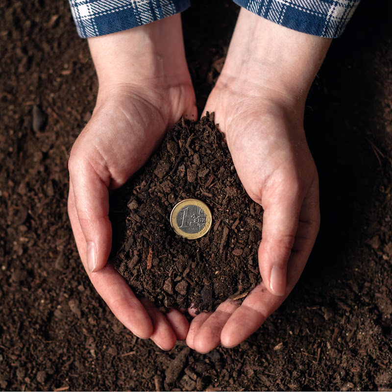 Online Money Journey