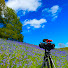 8Q7wqkOI3AY-channel-avatar-Natures Peaceful Therapy