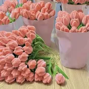 Ayumu DIY