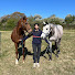 ciT-iPRImsQ-channel-avatar-Leah W Dressage