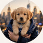 Rescue in NYC