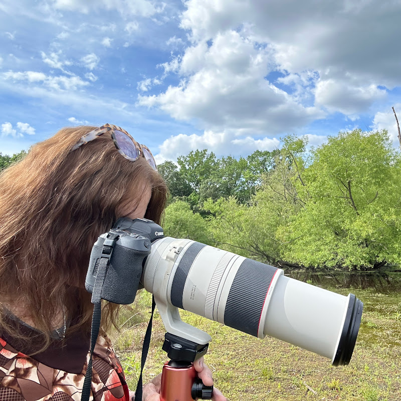 JewelyPix Photography 