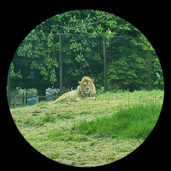 NatureNest TV