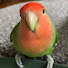 0cdNbv09LJw-channel-avatar-Ruby  go-go