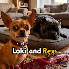 Loki and Rex