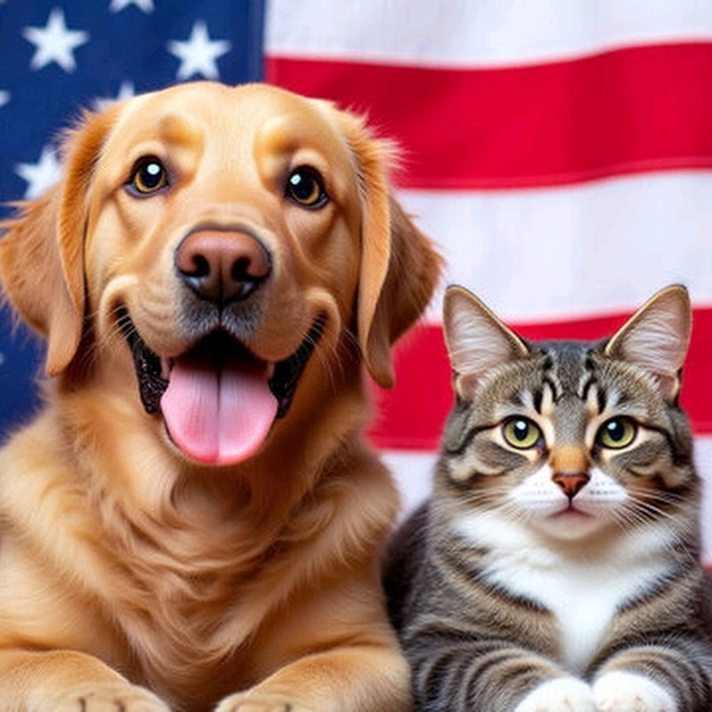 The Animals Pets profile avatar