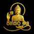 pQMTSPDNgc4-channel-avatar-Pinsara Maga - පින්සාර මග