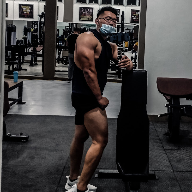 Cervs Physique