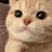 @고양이-gy2