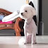 AQjva3fbNJU-channel-avatar-PetLover Thailand 