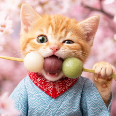 Tora no Kuniの画像