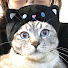 VztfsC1rcvU-channel-avatar-Catchill ASMR