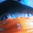 @NachitoNex