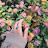 @ranaaamer1226