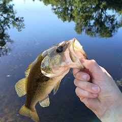 twobasstwocast1