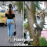 Автор
