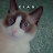 @جزائرية-خ9ذ
