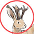 lXPXWnpZGNs-channel-avatar-OddJackalope