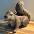 Rct2EPo5zMQ-channel-avatar-Too Many Squirrels Podcast