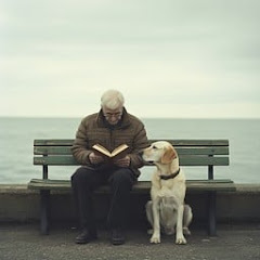 Ever Stories 