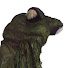 i1_6bxsWk9E-channel-avatar-Myrking About