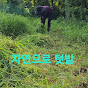자연으로 텃밭