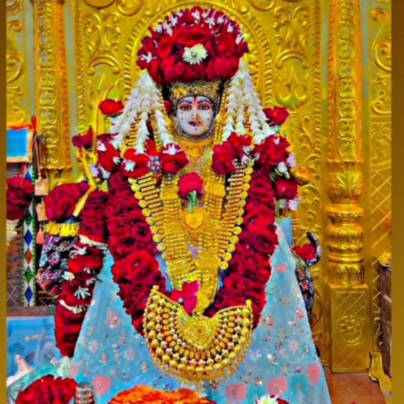 Jay meladi 