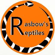 Rasbow’s Reptiles 