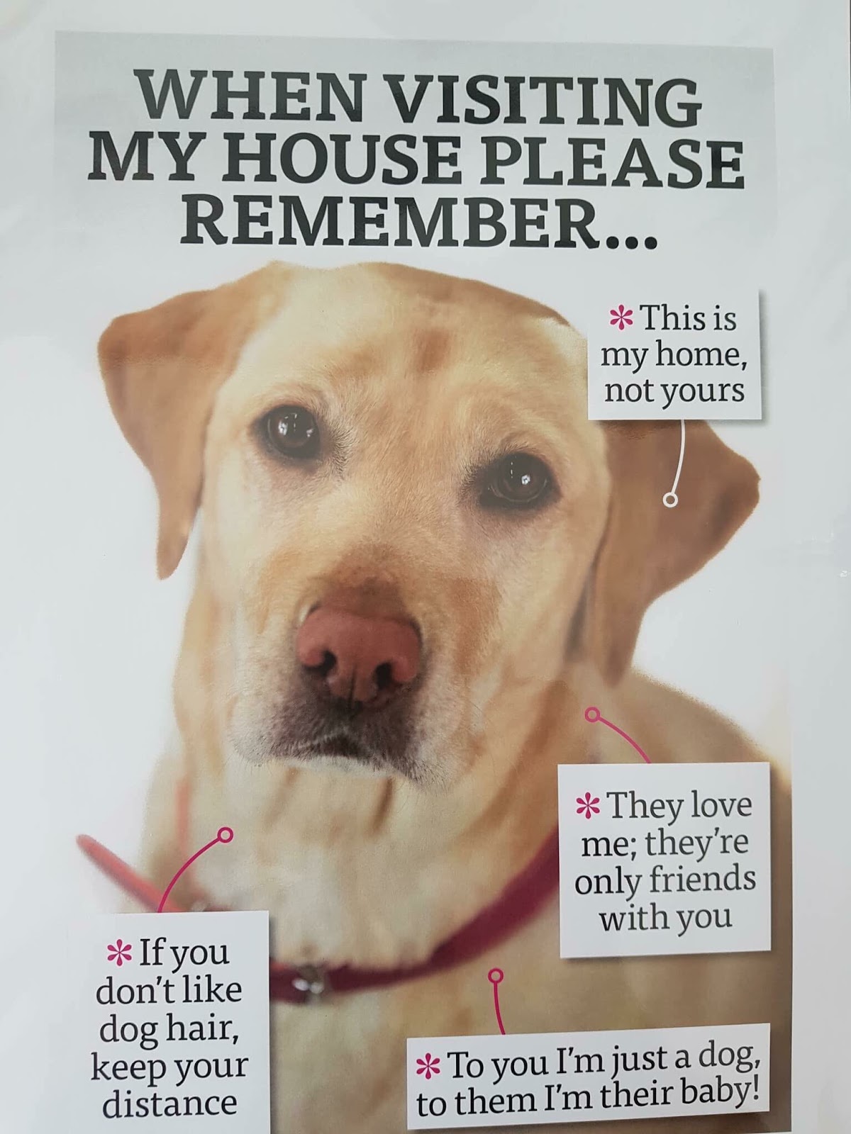 96kIzlk1jGoxG03TFO5AvTUQFAJICj7mJ521RAgOOYzBc_dd31KhVKdcnDbJZmjeBfb_dpIblBeU6Q=s1600-nd