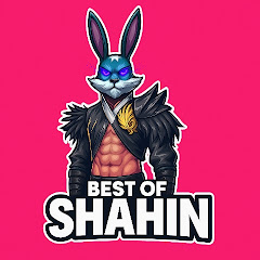 Best of Shahin