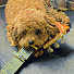YIb21PpgO3A-channel-avatar-My Guitar Therapy