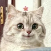 -ちゃん!-