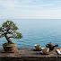 ORsUouEctvY-channel-avatar-Deep Zen Sleep