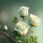 @وتينعبدالرحمن-د2ث